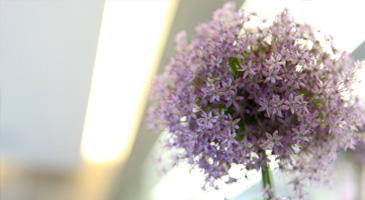 Allergische Reaktionen auf die Umwelt nehmen immer mehr zu. Wie man sich sch&uuml;tzen und was man dagegen tun kann erfahren Sie hier